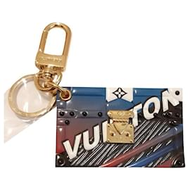 Louis Vuitton Leder Schlüsselbund Taschenaccessoire Mehrfarben
