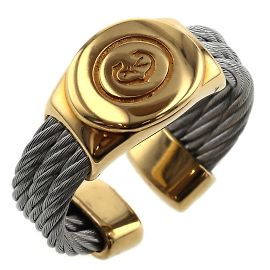& Other Stories Charriol Logo Cable Ring Silvery