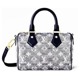 Louis Vuitton-LV Sperdy 20 Monoglam new-Blue