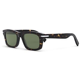 Dior Blacksuit S71 Tortoise Silver Green Lens Brown