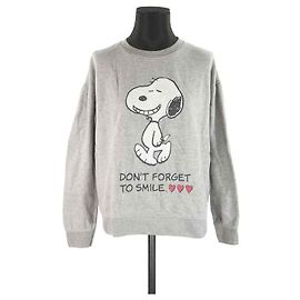 Sudadera Swildens 34 Gris