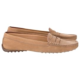 Tod's-Tod's Loafers in Brown Leather-Brown