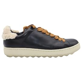 Coach-Coach C101 Shearling Sneakers in Black Leather-Black