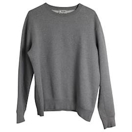 Acne-Acne Studios Corben Sweatshirt in Grey Cotton-Grey