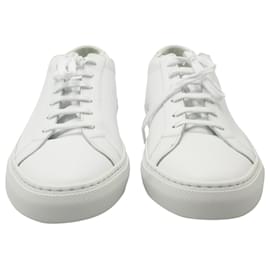 Autre Marque-Common Projects Original Achilles Low-Top Sneakers in pelle bianca-Bianco