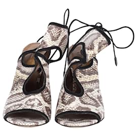 Aquazzura-Zapatos de tacón peep toe con estampado de pitón Sexy Thing de Aquazzura en cuero gris-Gris
