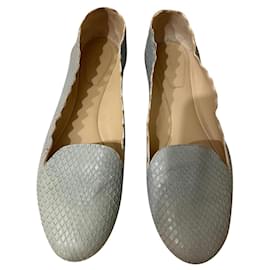 Chloé Lauren moccasins blue python Blue