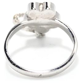 Dior-DIOR-Silvery