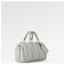 Louis Vuitton-LV Keepall 25 cuero gris-Gris