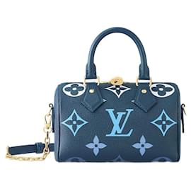 Louis Vuitton-LV speedy 20 leather blue-Blue