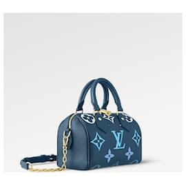 Louis Vuitton-LV speedy 20 leather blue-Blue
