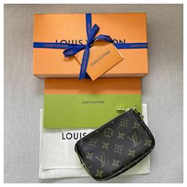 Louis Vuitton-Louis Vuitton Pochette Accessories Mini-Brown