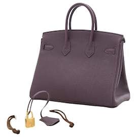 Hermès-Hermès Birkin 25-Purple