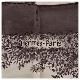 Hermès-Hermes Brown Kenya Silk Scarf-Other
