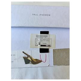 Paul Andrew-Heels-Brown