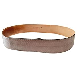 Cinto Loewe Python Taupe 85 cm Taupe
