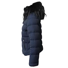 Prada-Prada Padded Jacket with Fur Collar in Navy Blue Polyester-Blue,Navy blue