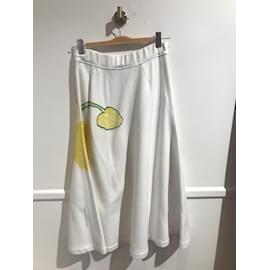 Marni-MARNI Faldas T.Algodón S Internacional-Blanco