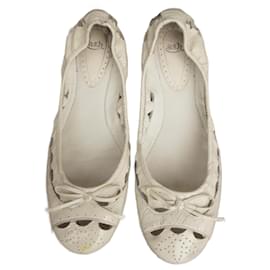 Ash-Ash p ballerinas 37-White