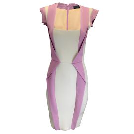 Elie Saab Mauve / Robe Structurée Bicolore Taupe Multicolore