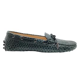 Tod's-Tod's Teal Python Drivers Loafer Flats-Turquoise