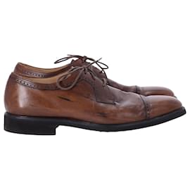 Tod's-Tod's Lace Up Derby Shoes in Brown Leather-Brown
