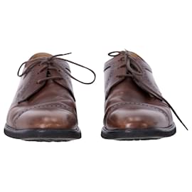 Tod's-Tod's Lace Up Derby Shoes in Brown Leather-Brown