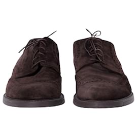 Ermenegildo Zegna-Ermenegildo Zegna Lace-Up Derby Shoes in Brown Suede-Brown
