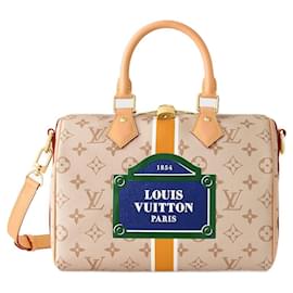 Louis Vuitton-LV Speedy Monopaname novo-Bege