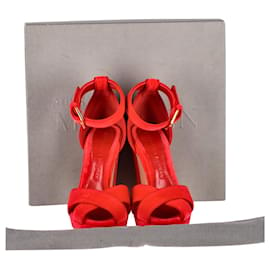 Alexander Mcqueen-Alexander McQueen Ankle Strap Sandals in Red Suede-Red