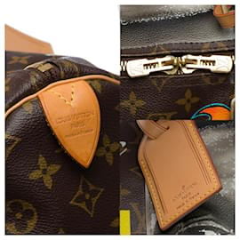 Louis Vuitton-LOUIS VUITTON Tasche aus braunem Canvas - 33355121304-Braun