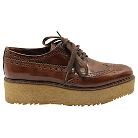 Prada-Prada Platform Derby Shoes in Brown Leather-Brown