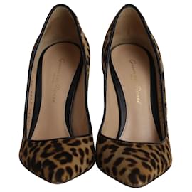 Gianvito Rossi-Gianvito Rossi Pumps in Animal Print Ponyhair-Other,Python print