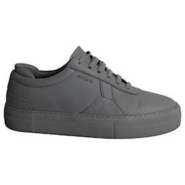 Axel Arigato-Axel Arigato Plateau-Sneaker aus grauem Leder-Grau
