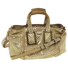 Chloé-Chloe Etel Hand Bag Leather 2way Gold Tone Auth yk7356-Other
