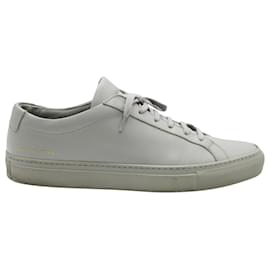 Autre Marque-Common Projects Achilles Low Sneakers in Grey Leather-Grey