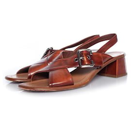 Prada-Prada, brown leather cross sandal-Brown