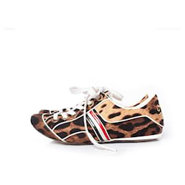 Dolce & Gabbana-DOLCE & GABBANA, scarpe da ginnastica leopardate-Multicolore