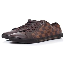 Louis Vuitton Damier Ebene And Leather Punchy Low Top Sneakers Size 40