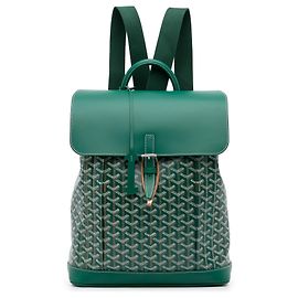 Goyard Verde Goyardine Alpin MM Verde