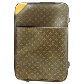 Louis Vuitton-Louis Vuitton Pegase-Brown