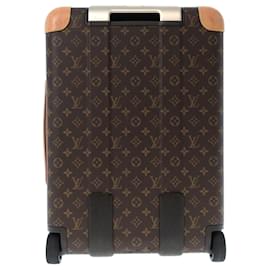 Louis Vuitton-Louis Vuitton Pegase-Brown