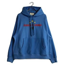 Gucci-***GUCCI  GUCCIBAND embroidery hoodie-Blue