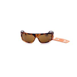 Persol Acetate Sunglasses Brown