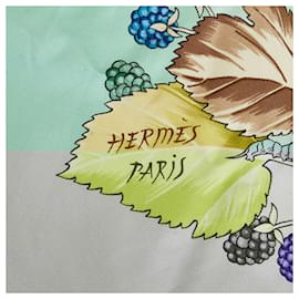 Hermès-Hermes Blue L'Arbre de Soie Silk Scarf-Blue,Multiple colors
