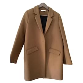 Hod Voltaire Camel
