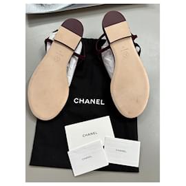 Chanel-SANDALI Pelle di capretto effetto scamosciato & metallo-Bordò