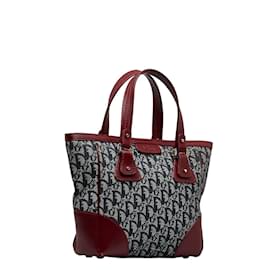 Dior-Oblique Canvas & Leather Handbag-Black