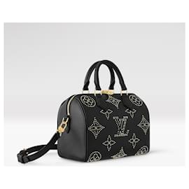 Louis Vuitton-LV speedy 25 Black-Black