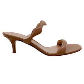 Gianvito Rossi-Gianvito Rossi Sandalias Praline con tiras y forro festoneado-Beige